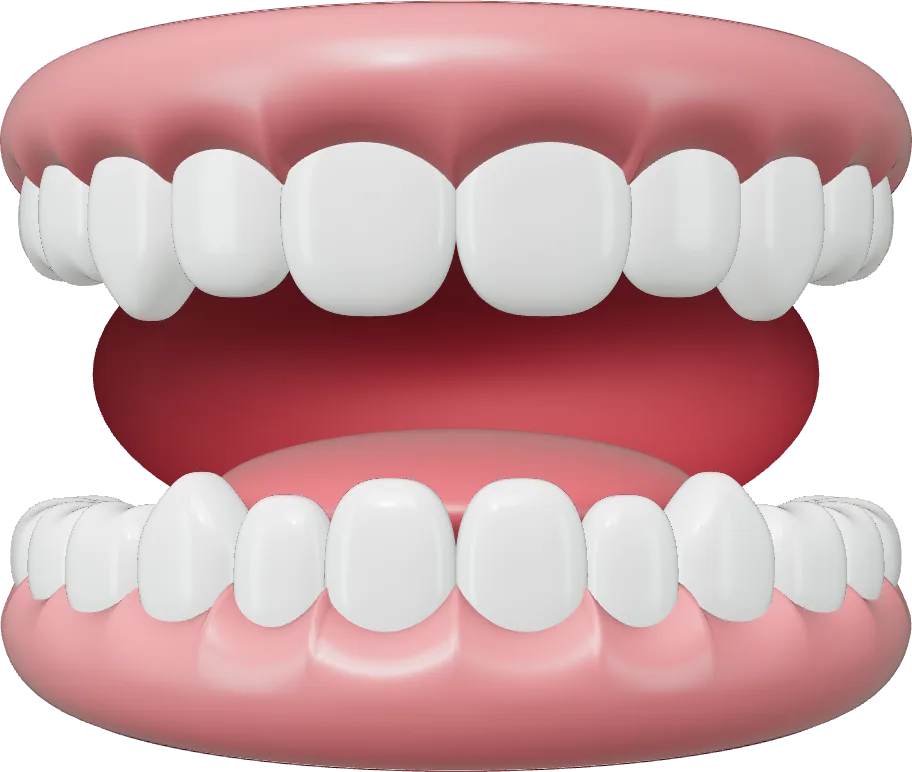 Modelo 3D de una boca abierta con puntos numerados sobre dientes y encías